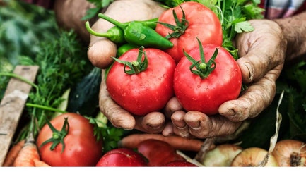 E_MASTERFOODS WebTiles OurFarmers